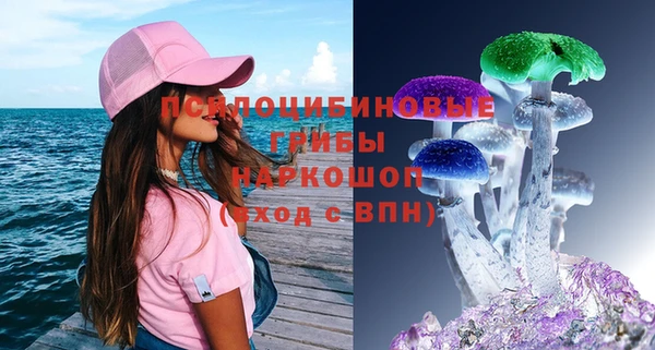 эйфоретик Алзамай