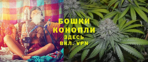 молекула духа Покачи